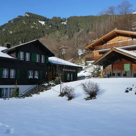 Apartment Apartment Schwendihus By Interhome Grindelwald
