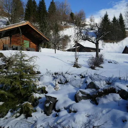 Apartment Apartment Schwendihus By Interhome Grindelwald
