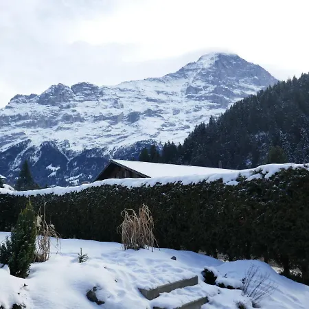 Apartment Schwendihus By Interhome Grindelwald