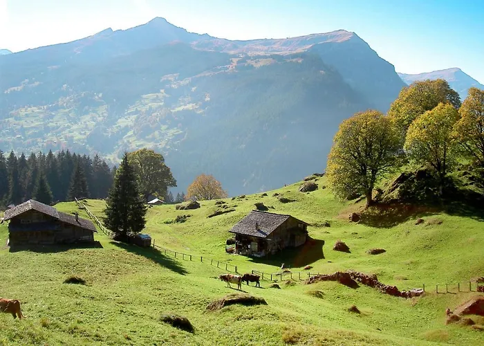 Schwendihus By Interhome Appartement *