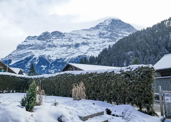 Schwendihus By Interhome Grindelwald