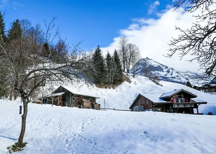 Schwendihus By Interhome Appartement *