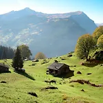 Schwendihus By Interhome Appartamento *